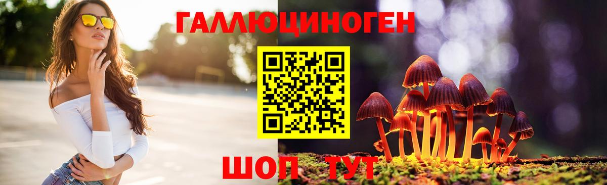 Псилоцибиновые грибы Magic Shrooms  Галлюциногенные грибы ЛСД  Вход с VPN  Гудермес 